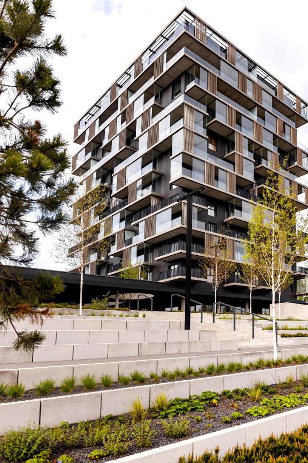 Downtown Apartments ,Next To Spodek-Free Parking Katowice Exteriör bild